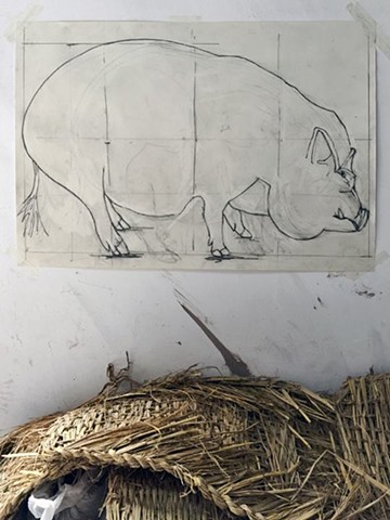 Pig Drawing In Ceramic Studio