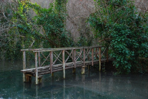 Dock