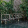 Dock