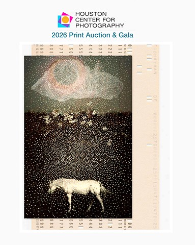 January 2026- Houston Center for Photography Print Auction