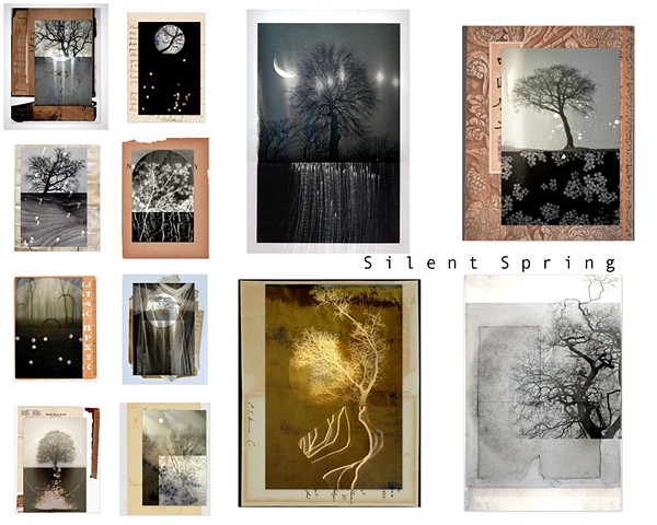 Linda Plaisted    Multi-disciplinary Artist