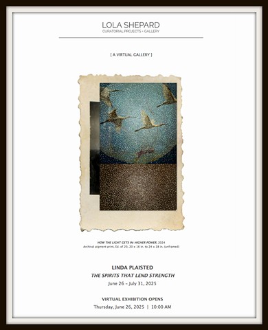 June 2025- Online Solo Exhibition- Lola Shepard Curatorial Projects