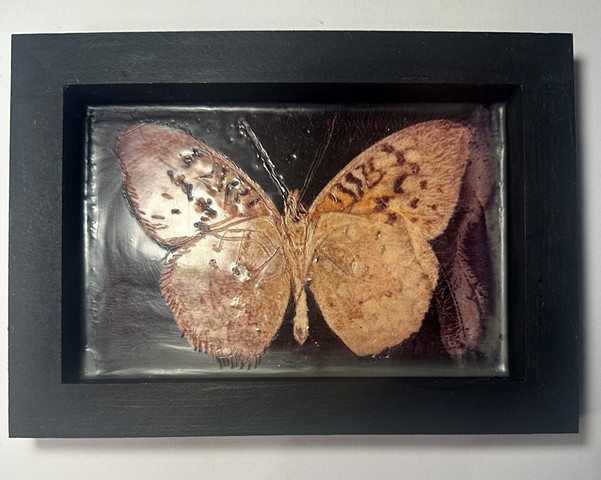 The Once and Future Queen