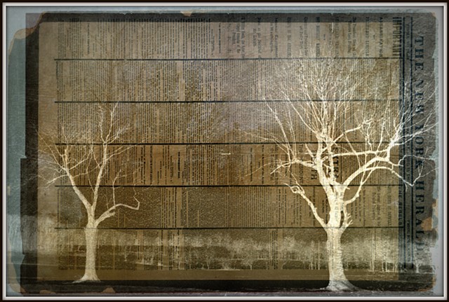 The Long Black Branches of Other Lives