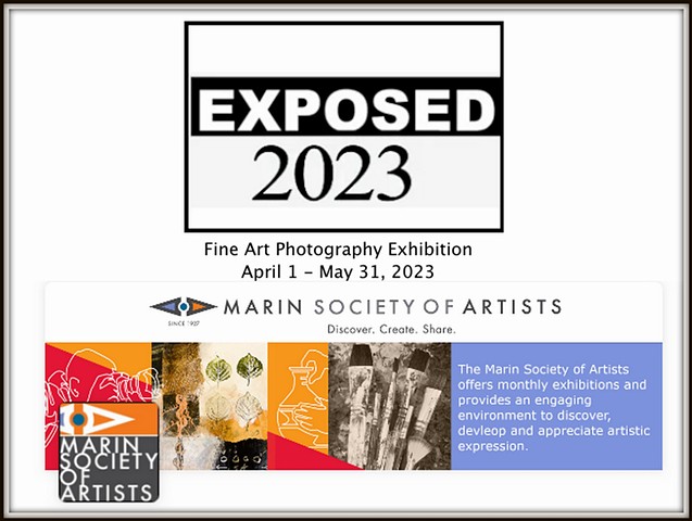 April 2023- Marin Society of Artists, California