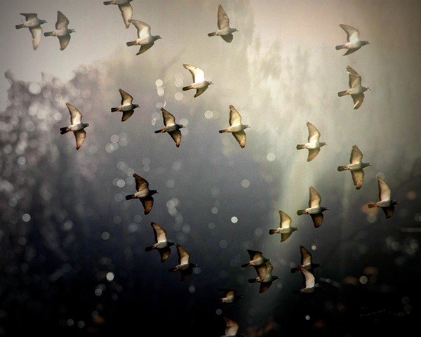 In Formation