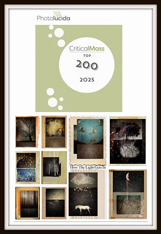 Linda Plaisted    Multi-disciplinary Artist