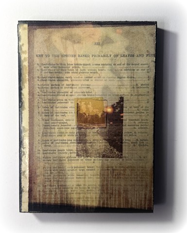 Department of the Interior