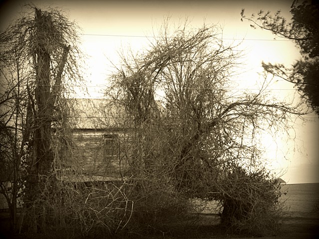 Reclamation