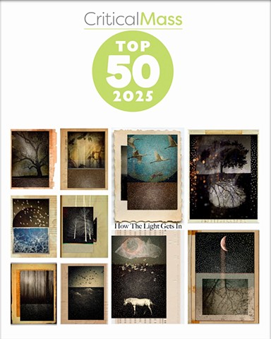 Linda Plaisted    Multi-disciplinary Artist