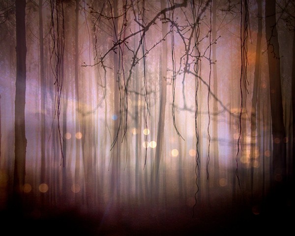 A Thousand Mornings