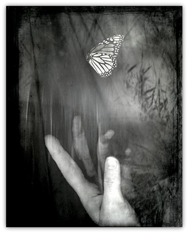 Surrender