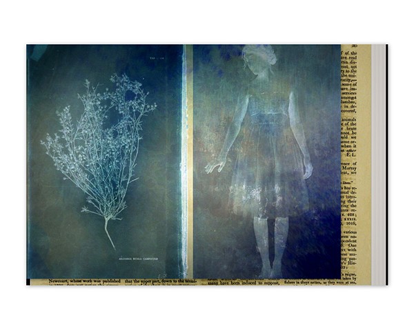 Linda Plaisted    Multi-disciplinary Artist