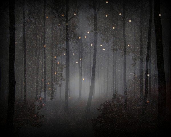 The Sleeping Forest