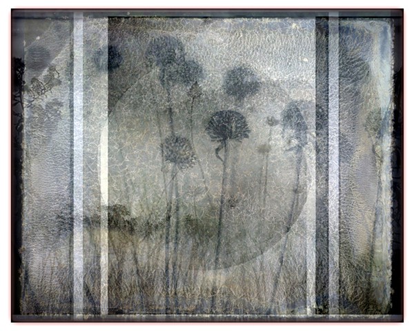 Great Meadows