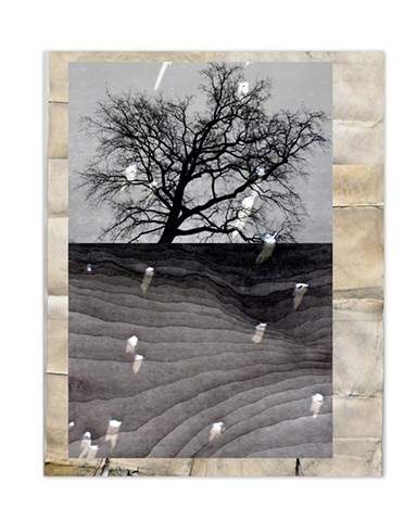 Mirrors in the Earth