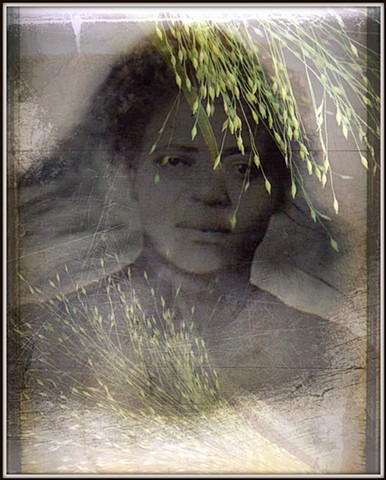 Seven Strands of Sweetgrass