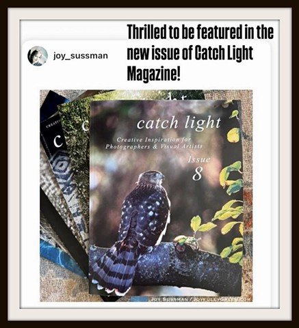 November 2024- Catch Light Magazine Interview