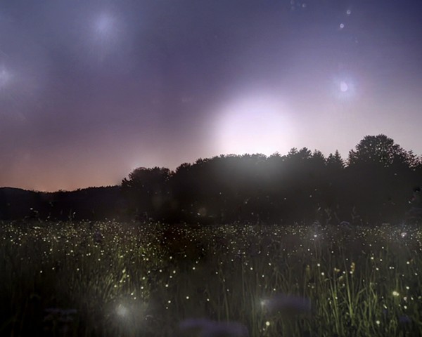 Midsummer