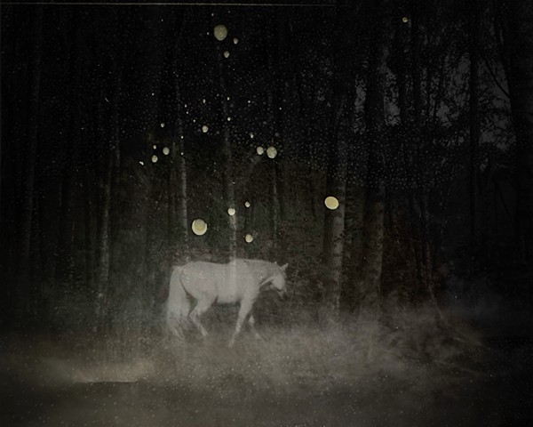 If Wishes Were Horses