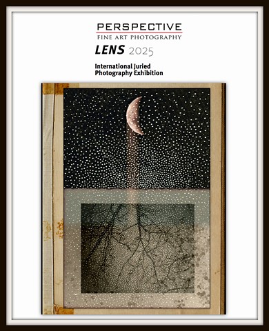 March 2025- Perspective Gallery: Lens 2025