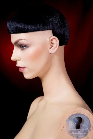 Avant Garde Hairdresser of the Year  2009