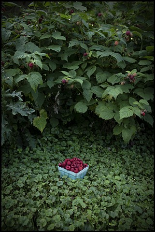 Raspberry Pick