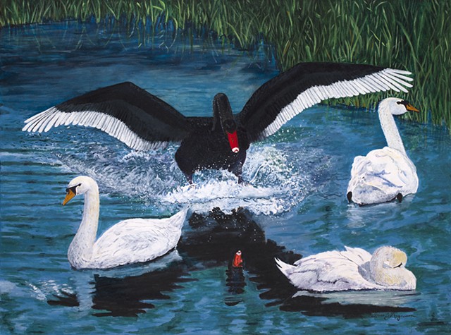 Black Swan Event