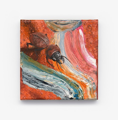 Carrying the desert, 2026 Oil on canvas 20 x 20cm