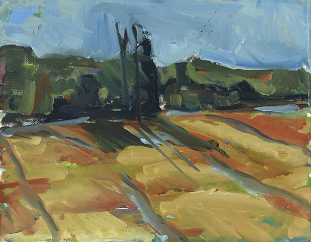 Field in Yellow