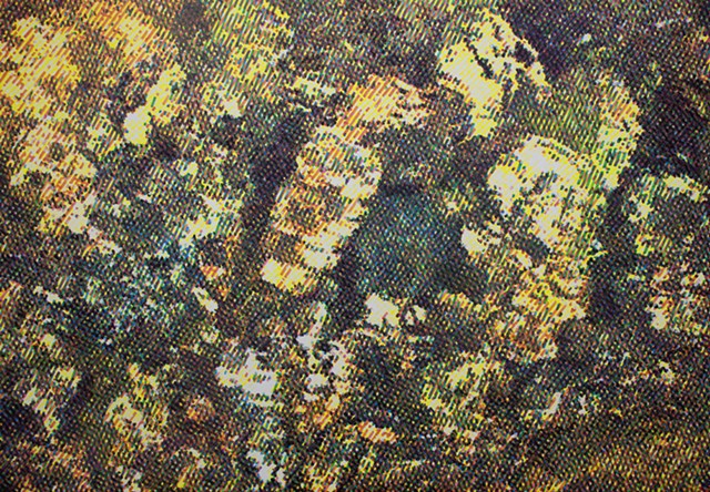 PAINTINGS