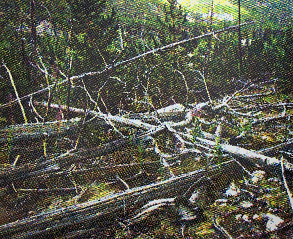 Burn Area: Tangle