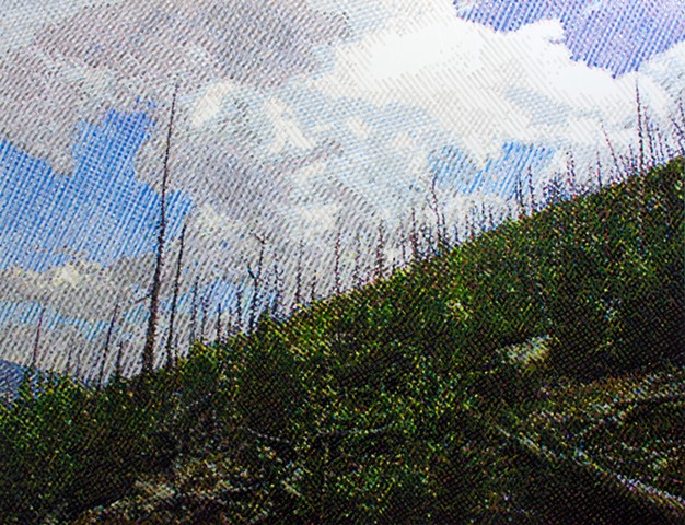 Burn Area: Hillside