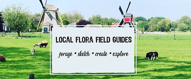 Local Flora Field Guide Workshop
