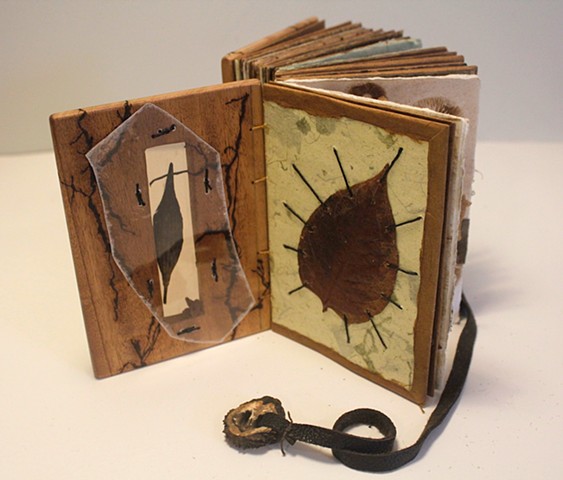 Senescence, first page