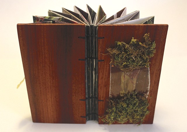 Jennie's ZXB, covers open