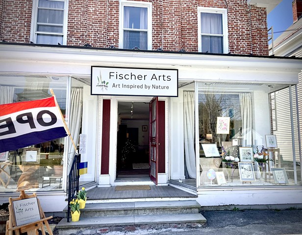 Fischer Arts VT