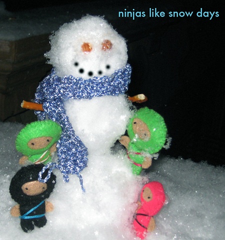 ninjas like snow days