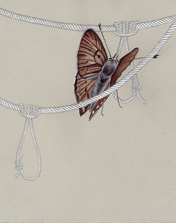 Purplish Copper and Pruskit Knots