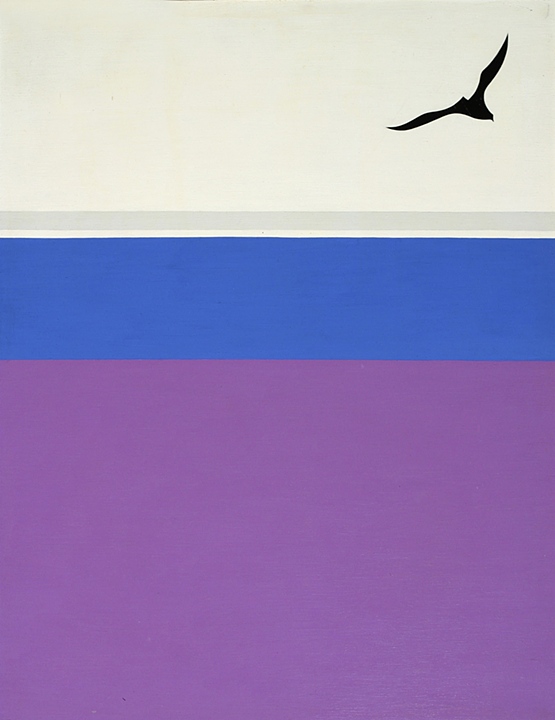 Seagull
