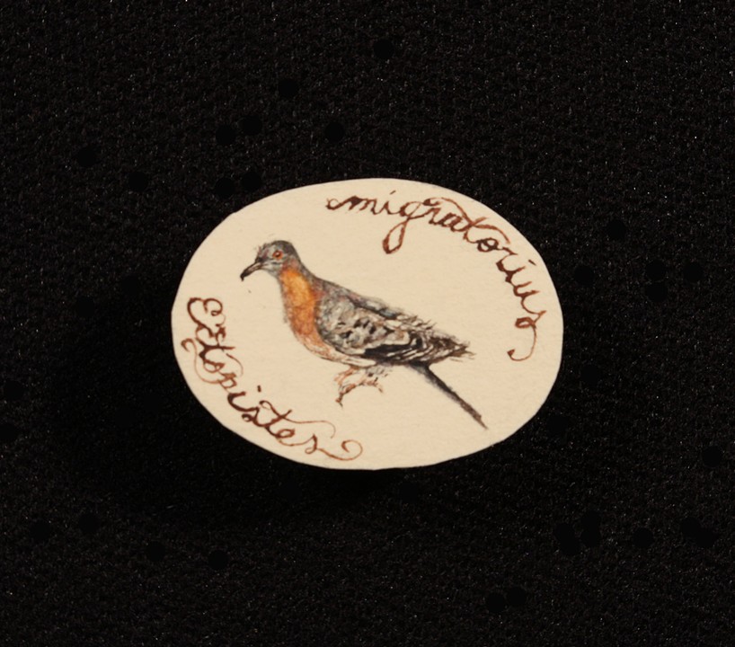Passenger Pigeon