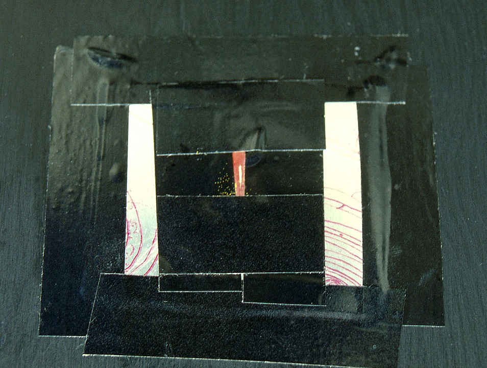 Rose Petal Slit Camera
1988