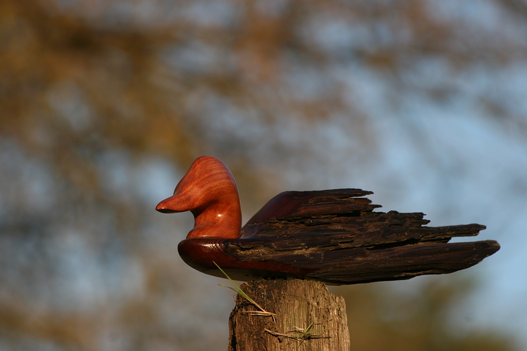 WOOD FINDS ME CARVING Home