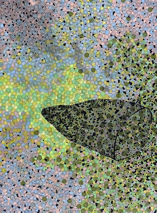 Net