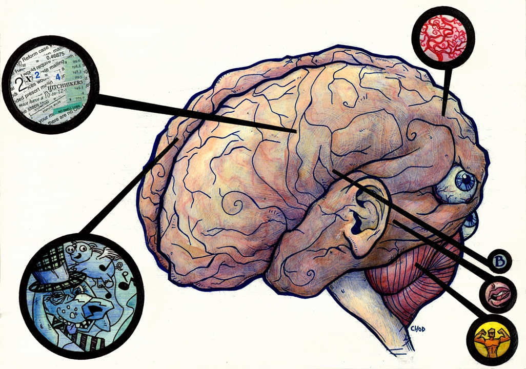 Во время деятельность мозга. Мозг рисунок. Процессы в мозге. Активность головного мозга. Нейрофизиология мозга.