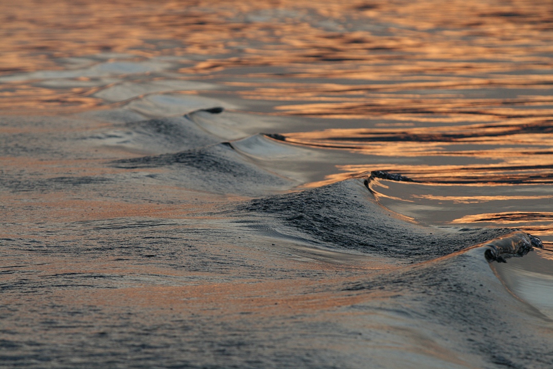Ripple in Time