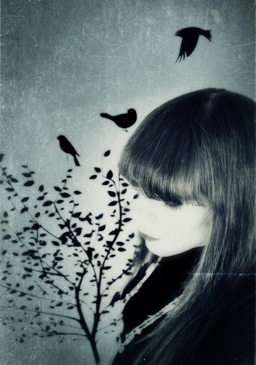 for the birds