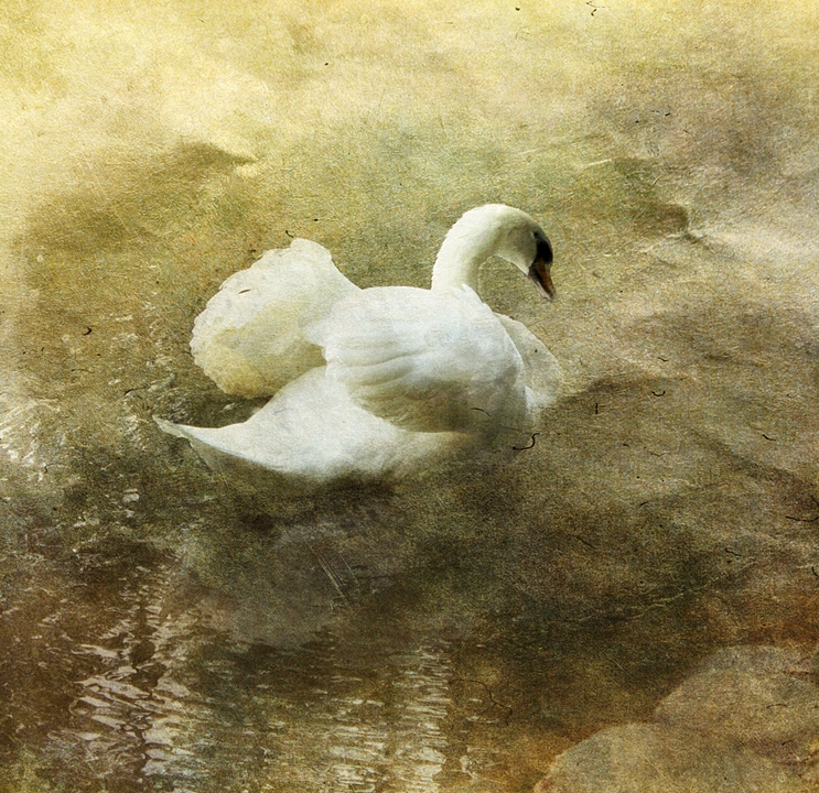 one 