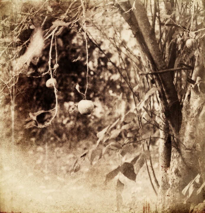 hang gently