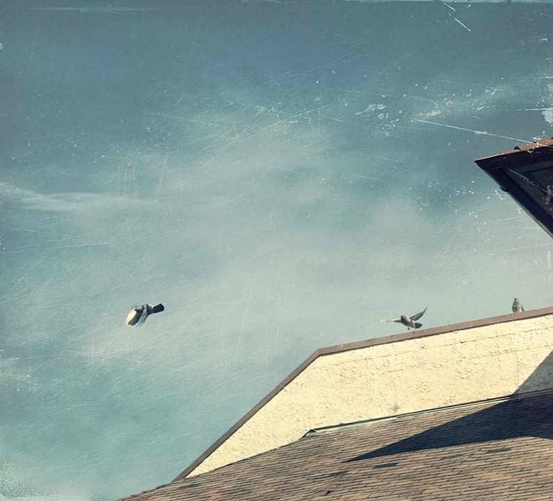 day flight, or i was in love with the day